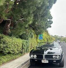 Pontiac-Firebird-Convertible-Cabriolet-1967-Black-Black-120701-2