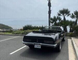 Pontiac-Firebird-Convertible-Cabriolet-1967-Black-Black-120701-5