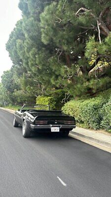 Pontiac-Firebird-Convertible-Cabriolet-1967-Black-Black-120701-9