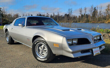 Pontiac-Firebird-Coupe-1978-Silver-Red-40161-15