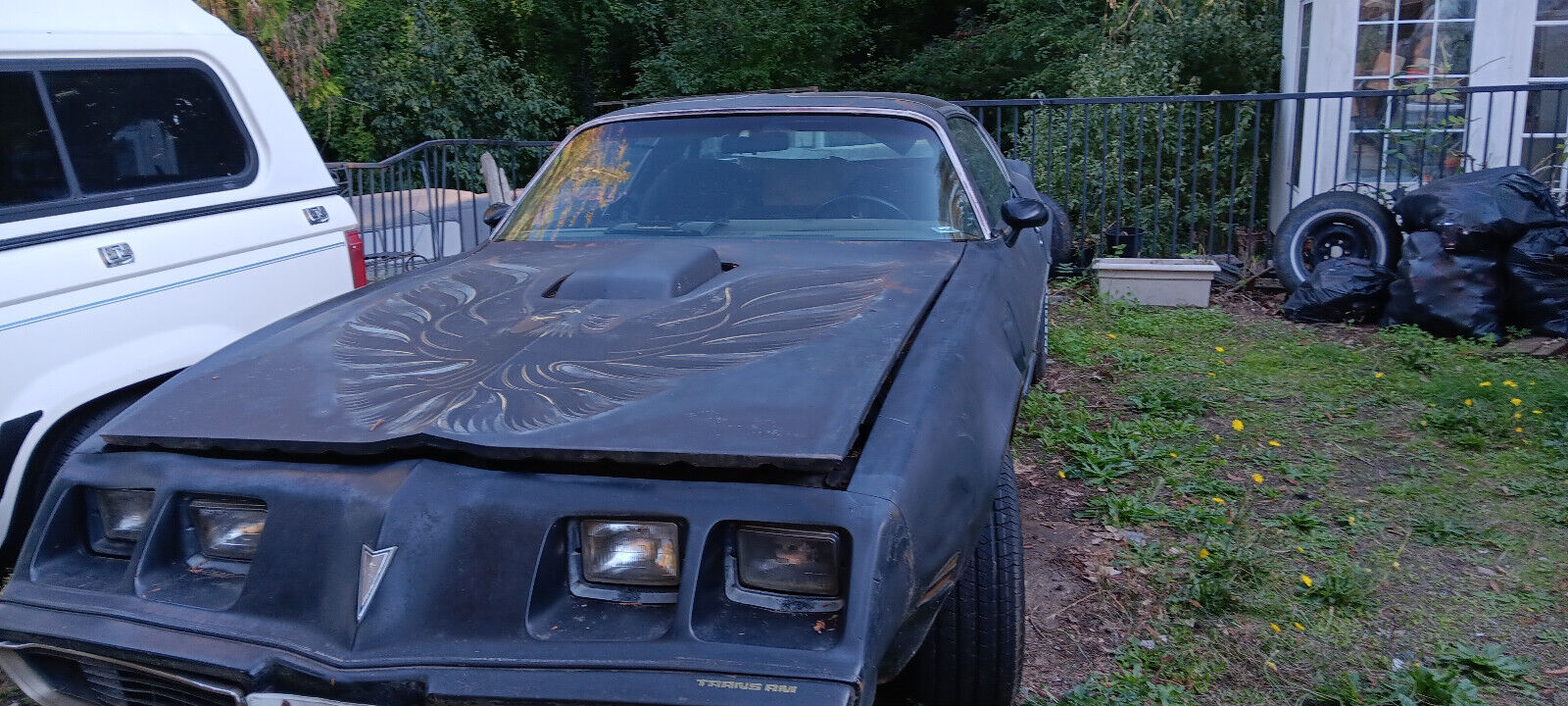 Pontiac-Firebird-Coupe-1979-Black-Black-0-1