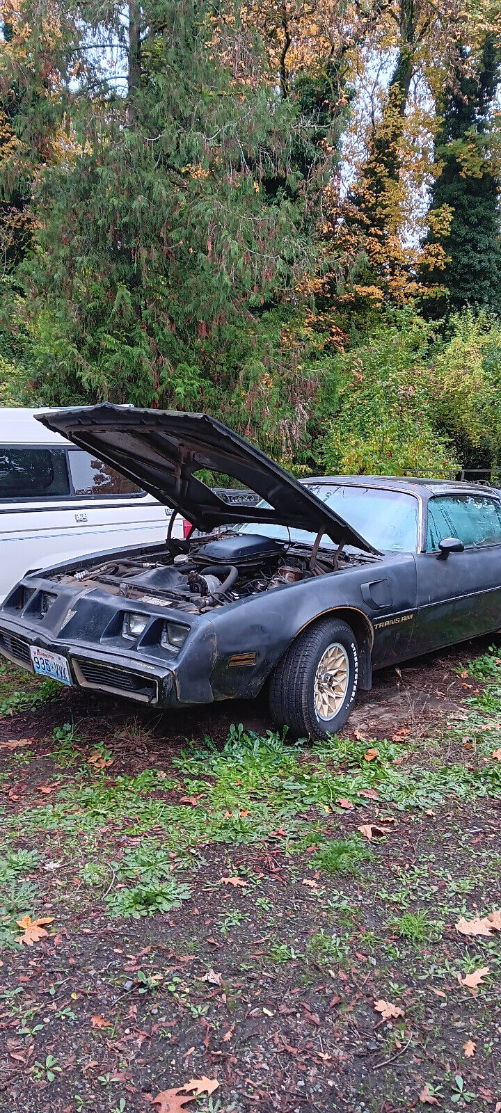 Pontiac-Firebird-Coupe-1979-Black-Black-0-12