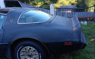 Pontiac-Firebird-Coupe-1979-Black-Black-0-2