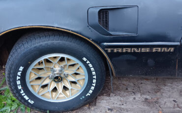 Pontiac-Firebird-Coupe-1979-Black-Black-0-7