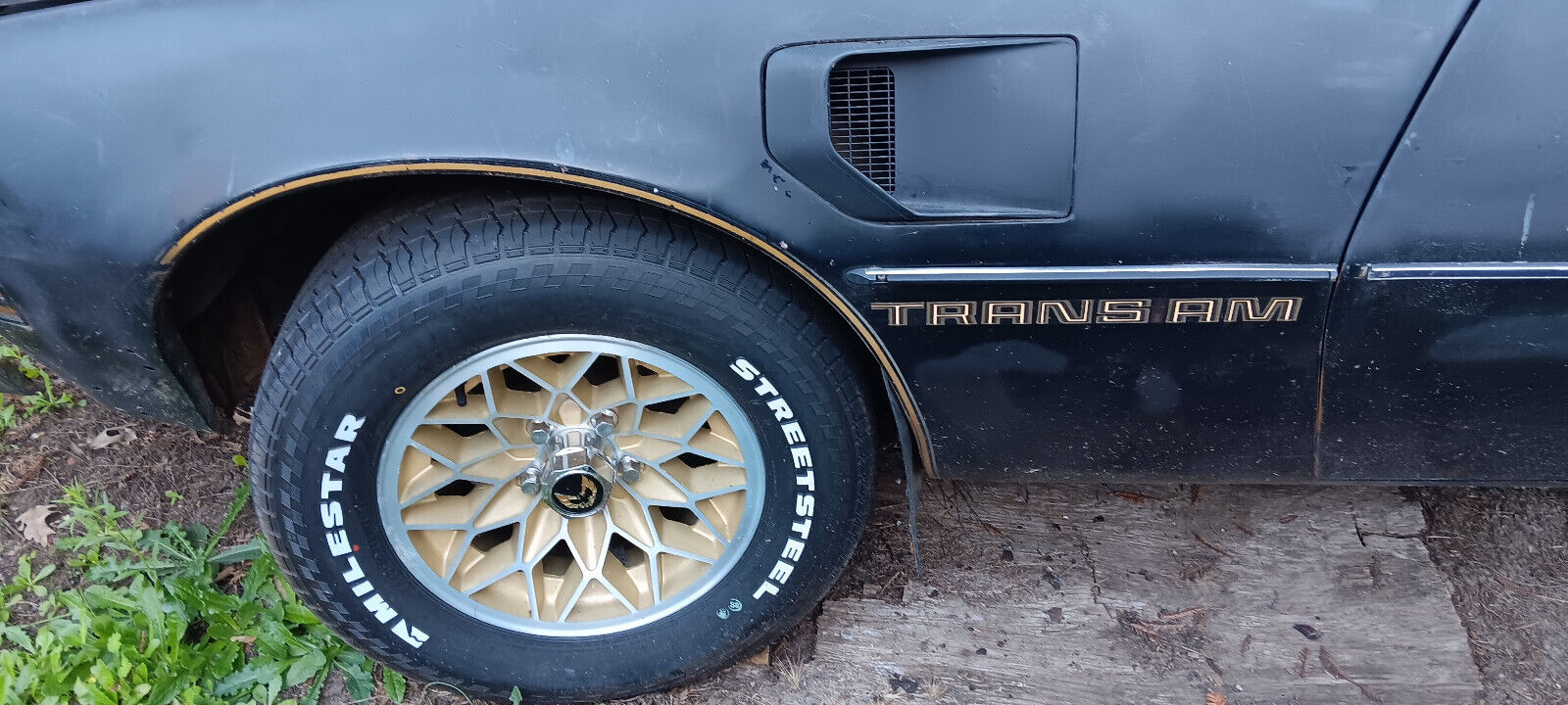 Pontiac-Firebird-Coupe-1979-Black-Black-0-7