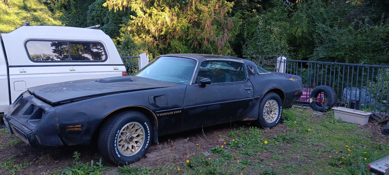 Pontiac Firebird Coupe 1979 à vendre