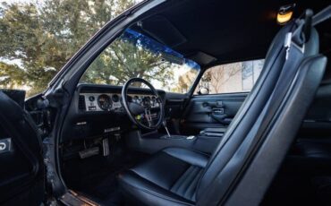 Pontiac-Firebird-Coupe-1979-Black-Black-36922-35