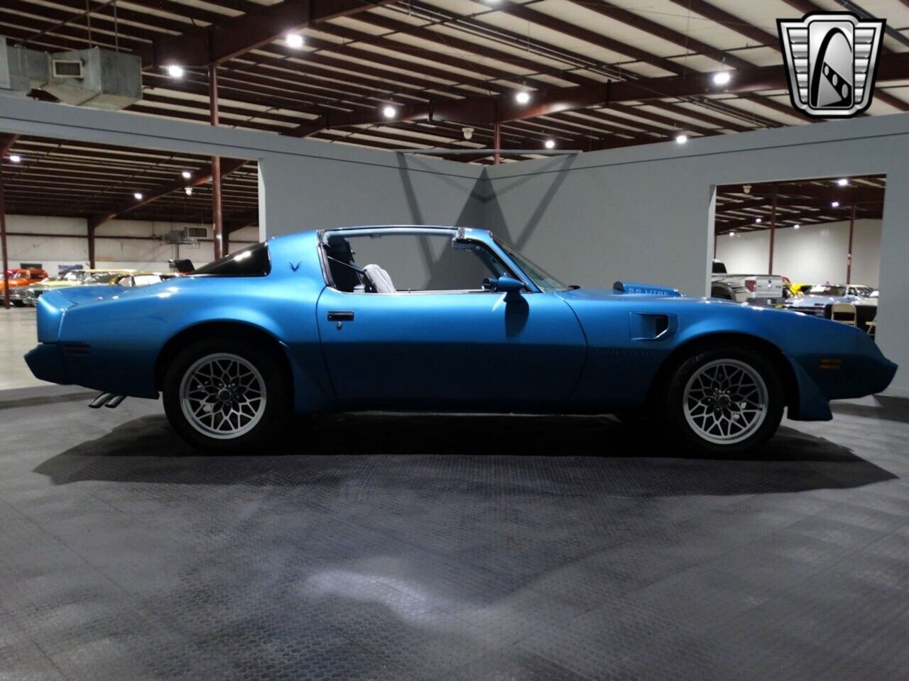 Pontiac-Firebird-Coupe-1979-Blue-Blue-158948-8