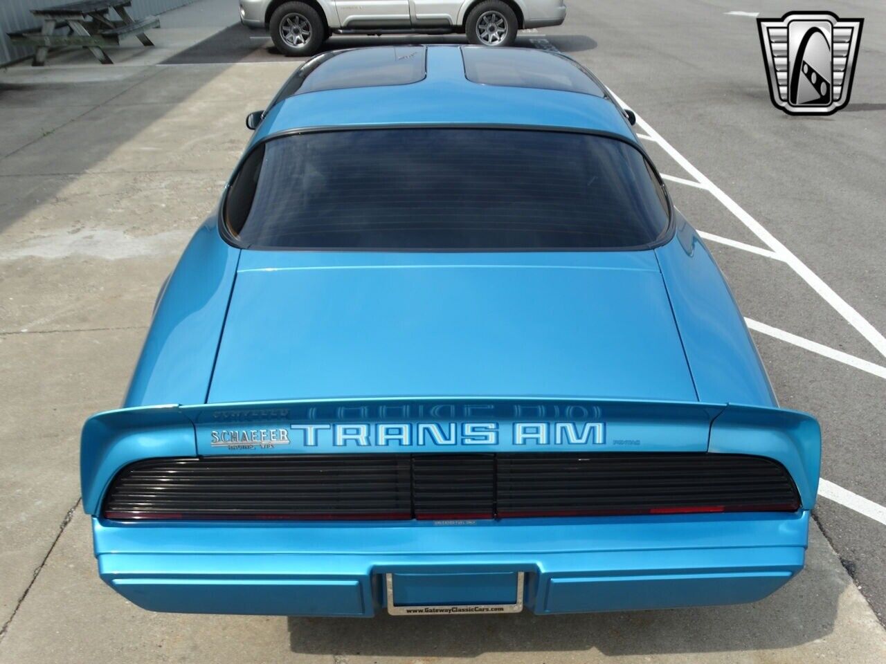 Pontiac-Firebird-Coupe-1979-Blue-Blue-17519-6