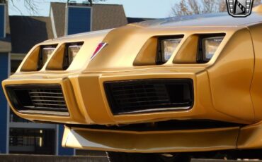 Pontiac-Firebird-Coupe-1979-Brown-Tan-157642-11