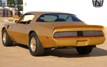 Pontiac-Firebird-Coupe-1979-Brown-Tan-157642-4