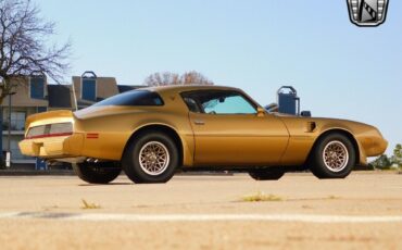 Pontiac-Firebird-Coupe-1979-Brown-Tan-157642-6