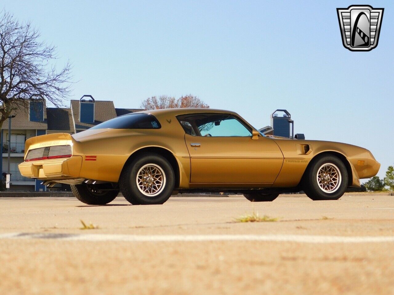 Pontiac-Firebird-Coupe-1979-Brown-Tan-157642-6