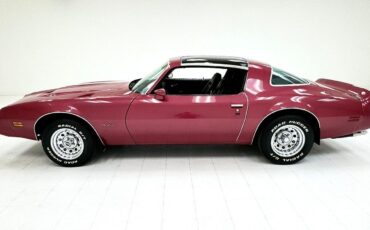 Pontiac-Firebird-Coupe-1979-Furious-Fuchsia-Black-150028-1