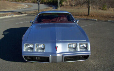 Pontiac-Firebird-Coupe-1979-Silver-Red-77577-19