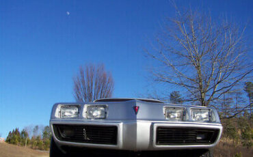 Pontiac-Firebird-Coupe-1979-Silver-Red-77577-21