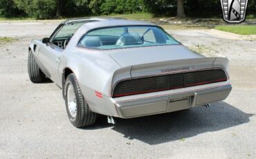 Pontiac-Firebird-Coupe-1979-Silver-Silver-25568-10