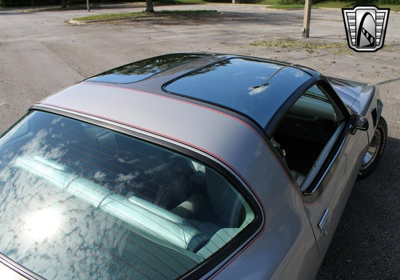 Pontiac-Firebird-Coupe-1979-Silver-Silver-25568-4