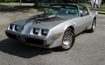 Pontiac-Firebird-Coupe-1979-Silver-Silver-25568-8