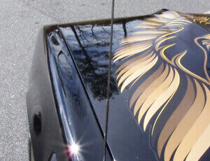 Pontiac-Firebird-Coupe-1980-Black-Black-10990-14