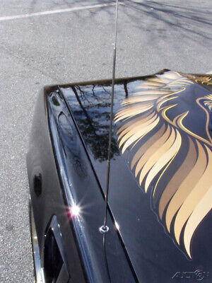 Pontiac-Firebird-Coupe-1980-Black-Black-10990-14