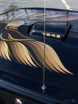 Pontiac-Firebird-Coupe-1980-Black-Black-10990-15