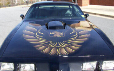 Pontiac-Firebird-Coupe-1980-Black-Black-10990-18