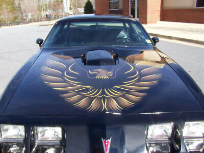 Pontiac-Firebird-Coupe-1980-Black-Black-10990-18