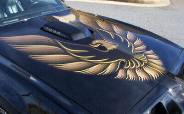 Pontiac-Firebird-Coupe-1980-Black-Black-10990-19