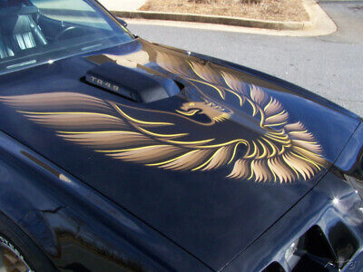 Pontiac-Firebird-Coupe-1980-Black-Black-10990-19