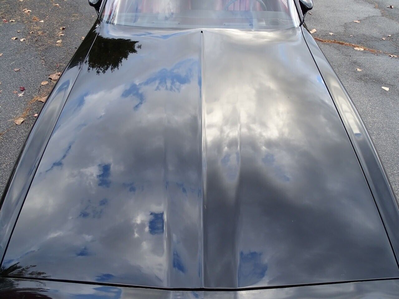 Pontiac-Firebird-Coupe-1981-Black-Red-29903-10