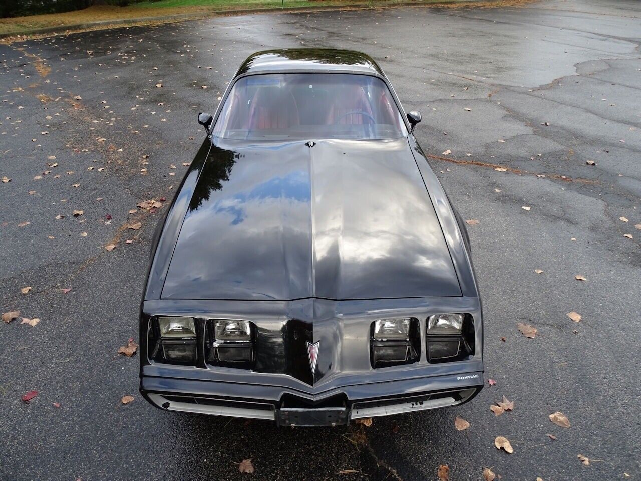 Pontiac-Firebird-Coupe-1981-Black-Red-29903-9