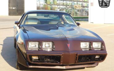 Pontiac-Firebird-Coupe-1981-Brown-Tan-159491-10