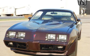 Pontiac-Firebird-Coupe-1981-Brown-Tan-159491-11