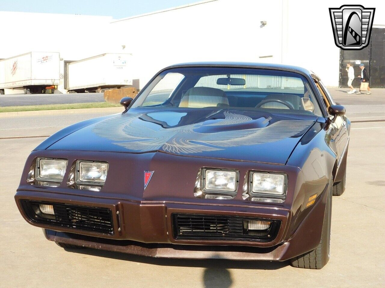 Pontiac-Firebird-Coupe-1981-Brown-Tan-159491-11