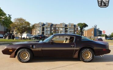 Pontiac-Firebird-Coupe-1981-Brown-Tan-159491-3