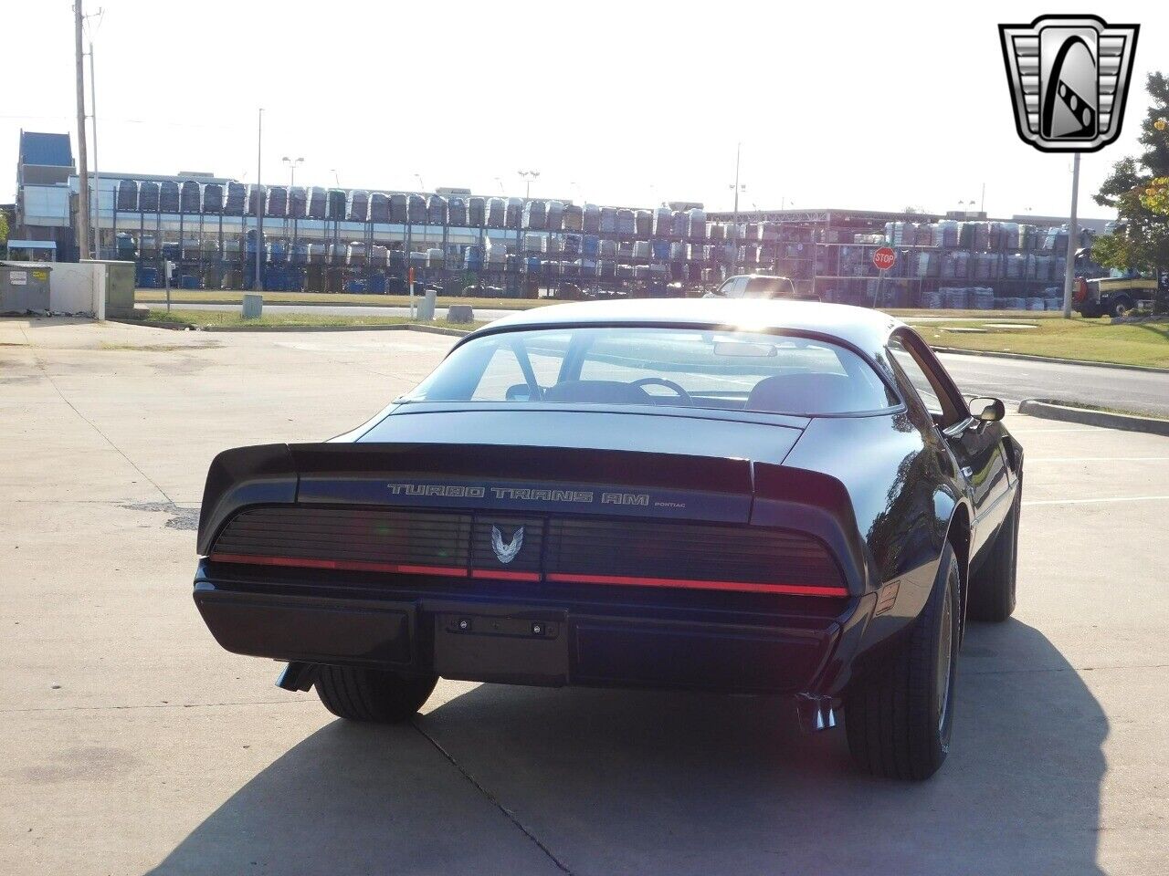 Pontiac-Firebird-Coupe-1981-Brown-Tan-159491-6