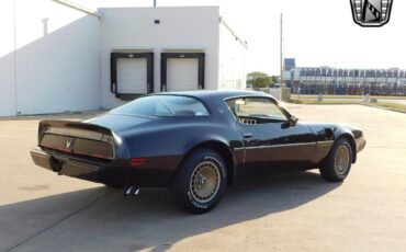 Pontiac-Firebird-Coupe-1981-Brown-Tan-159491-7