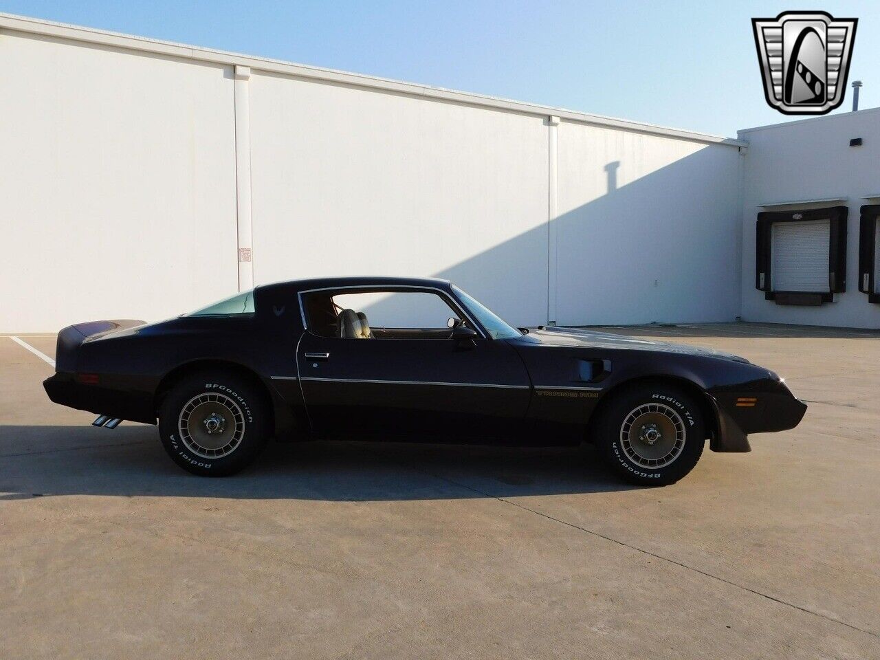 Pontiac-Firebird-Coupe-1981-Brown-Tan-159491-8