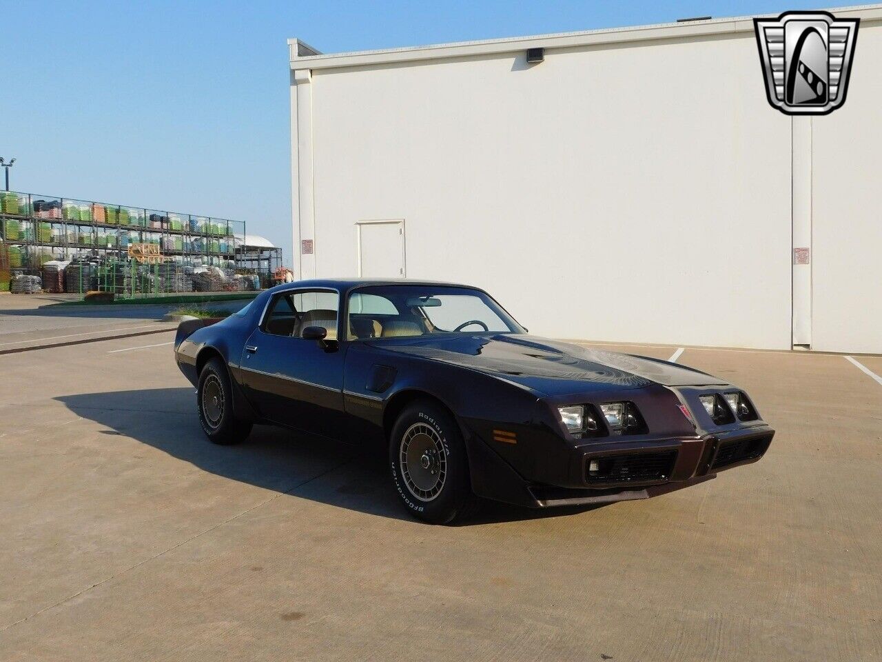 Pontiac-Firebird-Coupe-1981-Brown-Tan-159491-9