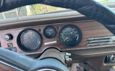 Pontiac-Firebird-Coupe-1981-Brown-Tan-214625-11