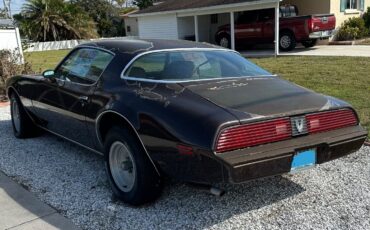 Pontiac-Firebird-Coupe-1981-Brown-Tan-214625-2