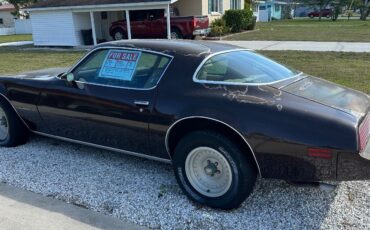 Pontiac-Firebird-Coupe-1981-Brown-Tan-214625-3