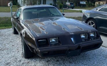 Pontiac-Firebird-Coupe-1981-Brown-Tan-214625-4