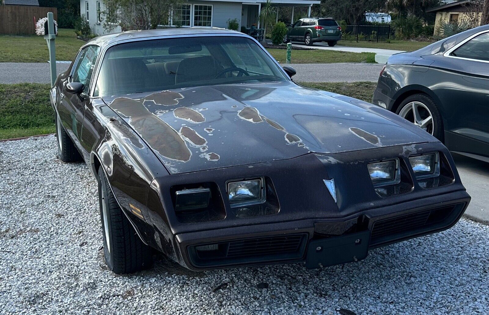 Pontiac-Firebird-Coupe-1981-Brown-Tan-214625-4