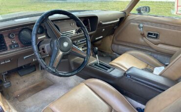 Pontiac-Firebird-Coupe-1981-Brown-Tan-214625-6