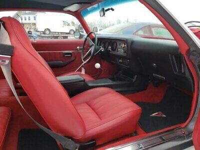 Pontiac-Firebird-Coupe-1981-Gray-Red-88123-11