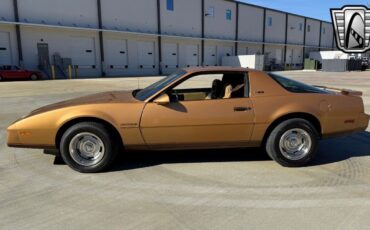 Pontiac-Firebird-Coupe-1982-Persimmon-Tan-49149-3