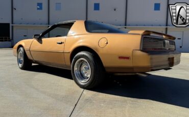 Pontiac-Firebird-Coupe-1982-Persimmon-Tan-49149-4