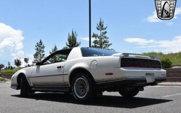 Pontiac-Firebird-Coupe-1984-White-Gray-134184-4